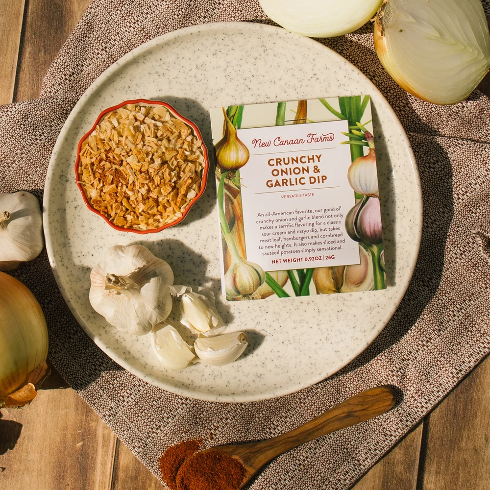 Crunchy Onion & Garlic Dip